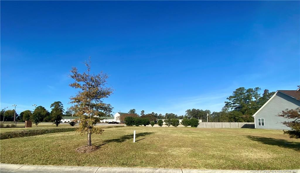 Cy Williams Boulevard Property Photo 1