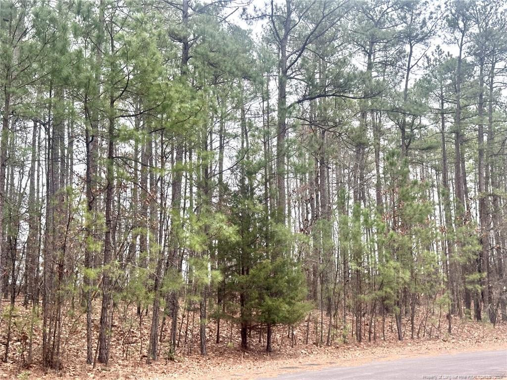 139 Boulder Drive Property Photo 1