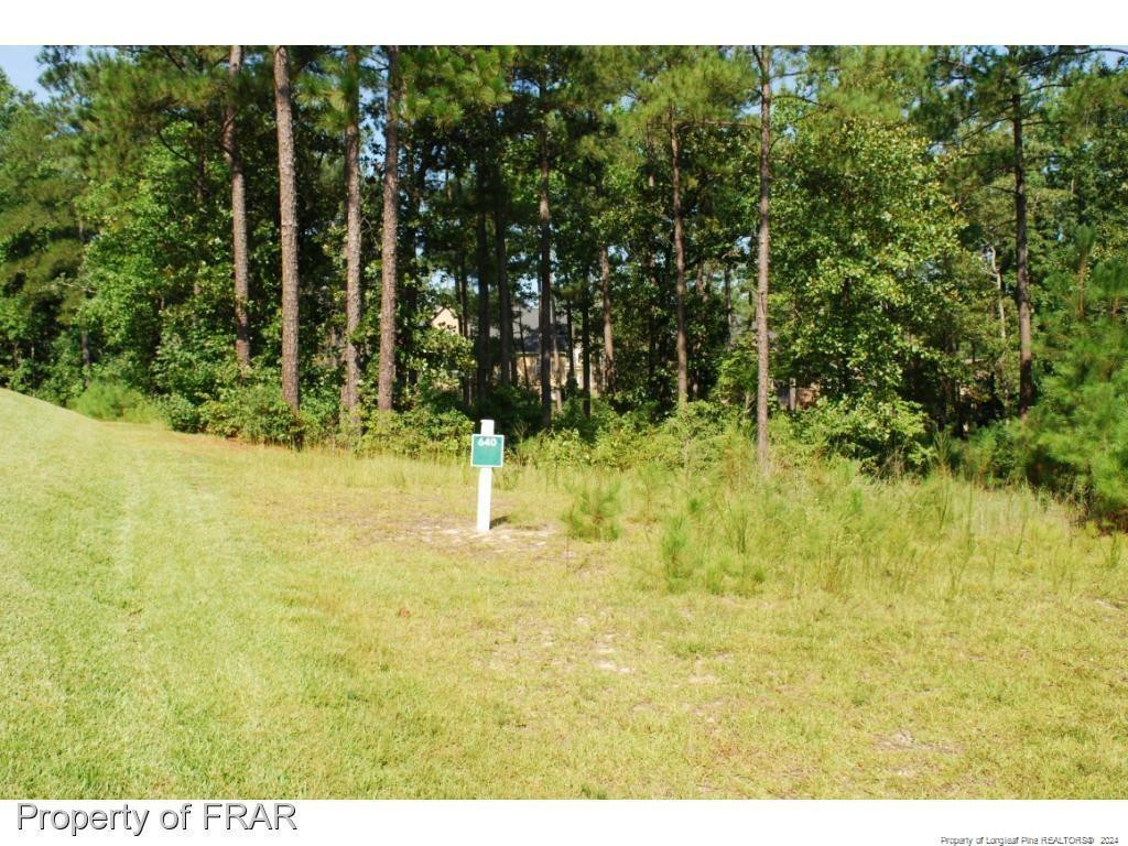 232 Broadlake (640) Lane Property Photo 1