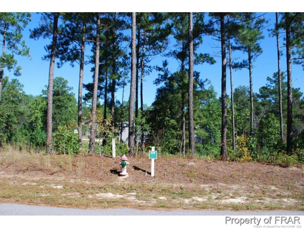 162 Broadlake (636) Lane Property Photo 1