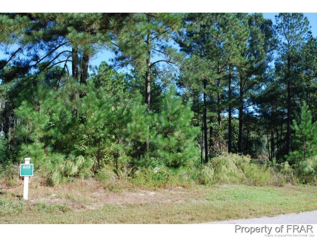 152 Broadlake (635) Lane Property Photo 2