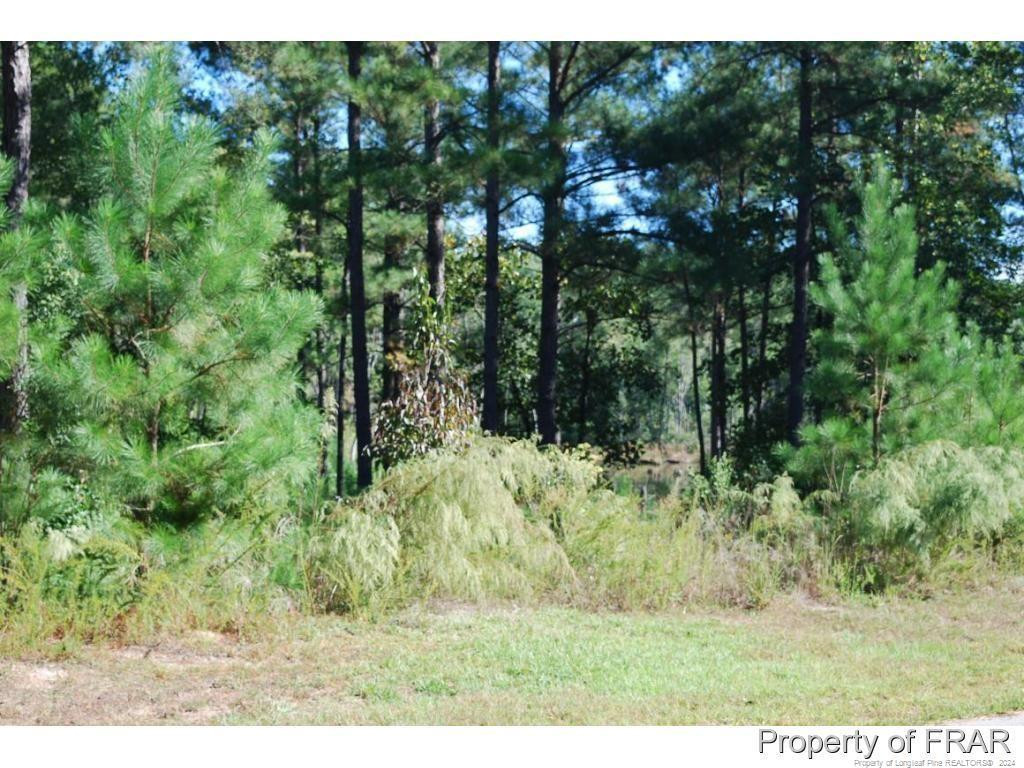 152 Broadlake (635) Lane Property Photo 3