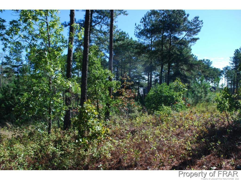 152 Broadlake (635) Lane Property Photo 5