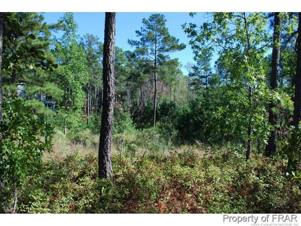152 Broadlake (635) Lane Property Photo 7