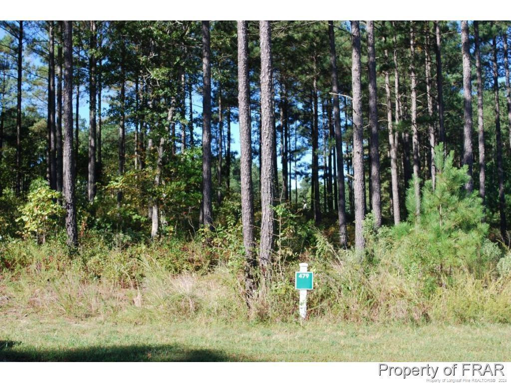 45 Broadlake (479) Lane Property Photo 1
