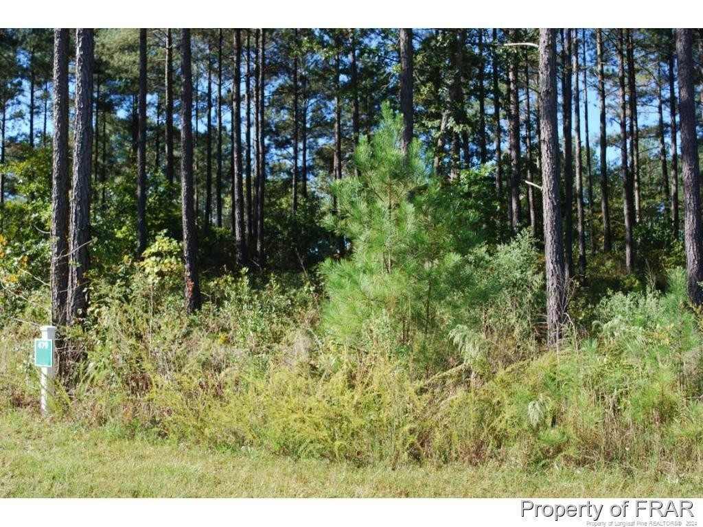 45 Broadlake (479) Lane Property Photo 2
