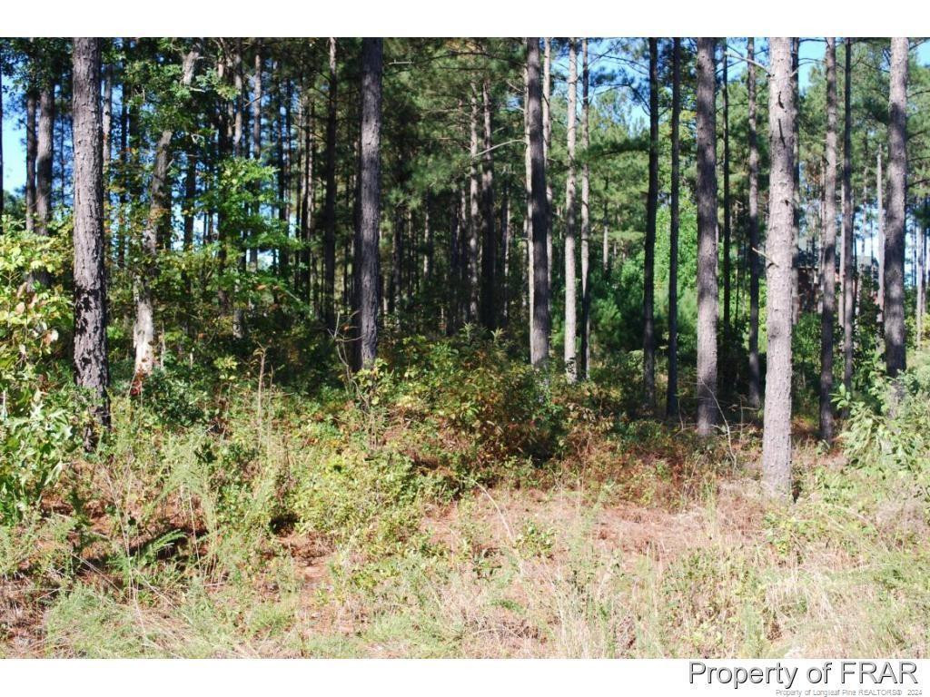 45 Broadlake (479) Lane Property Photo 3