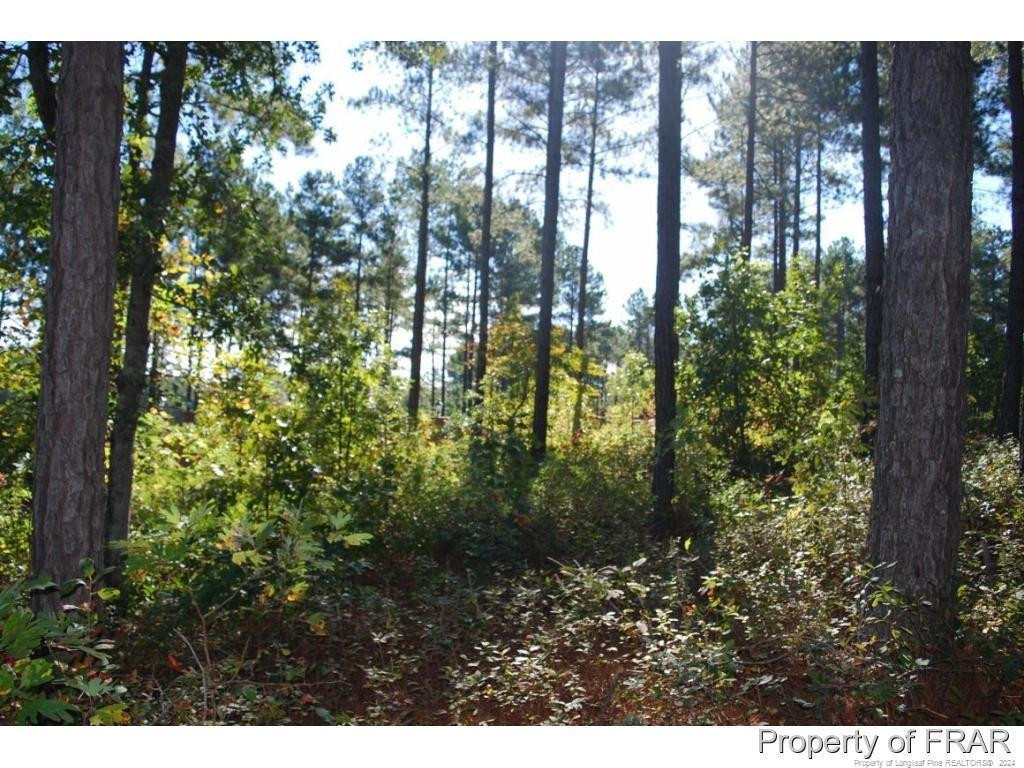 45 Broadlake (479) Lane Property Photo 5