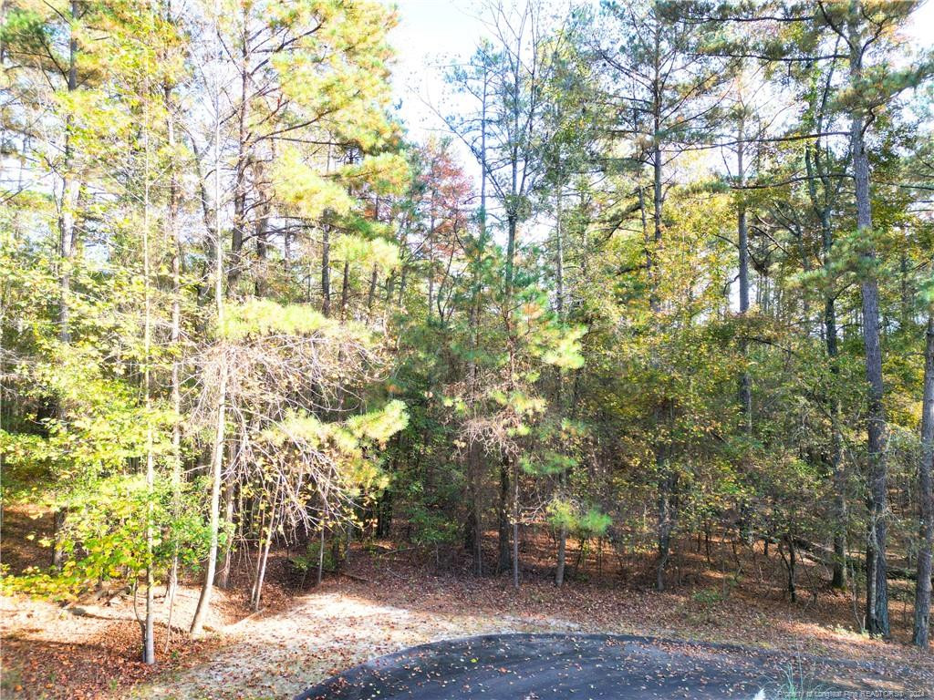 151 Cobblestone Place Property Photo 3