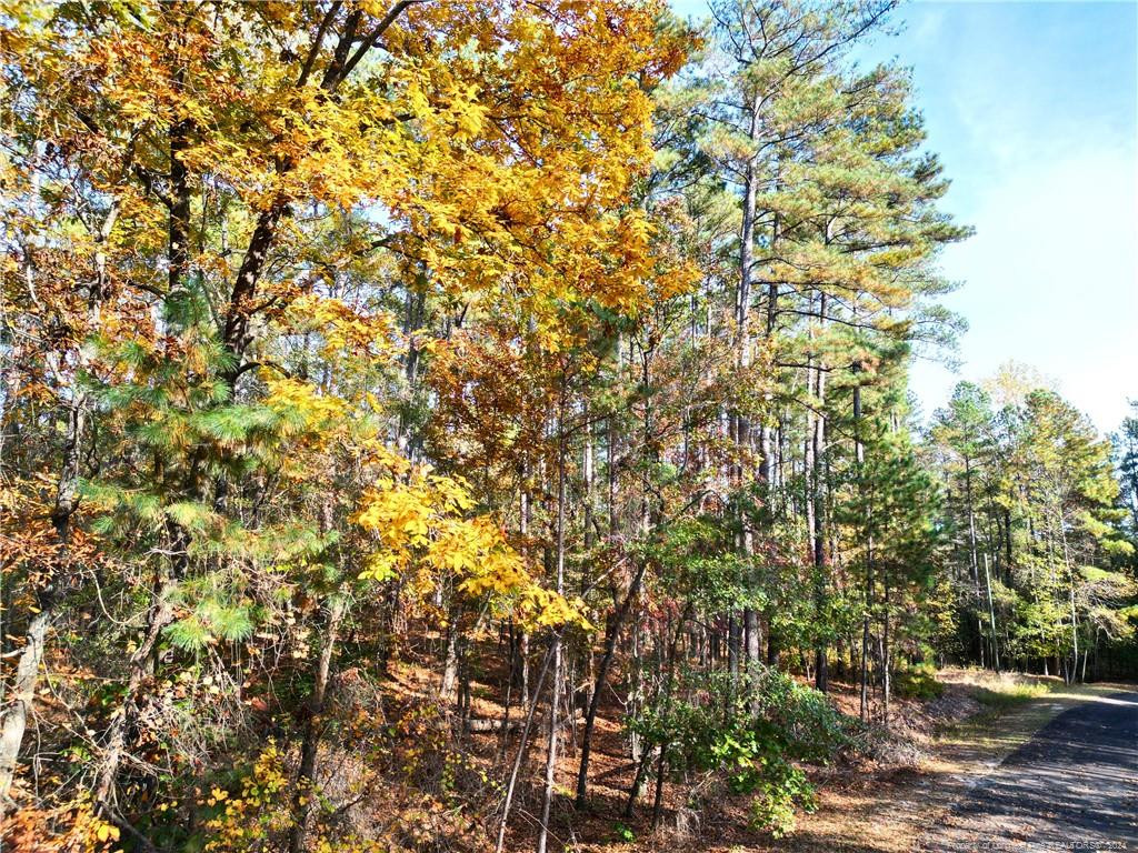 151 Cobblestone Place Property Photo 4