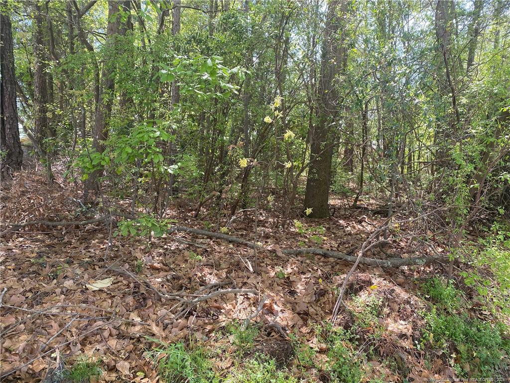 1450 Pamalee Drive Property Photo 2