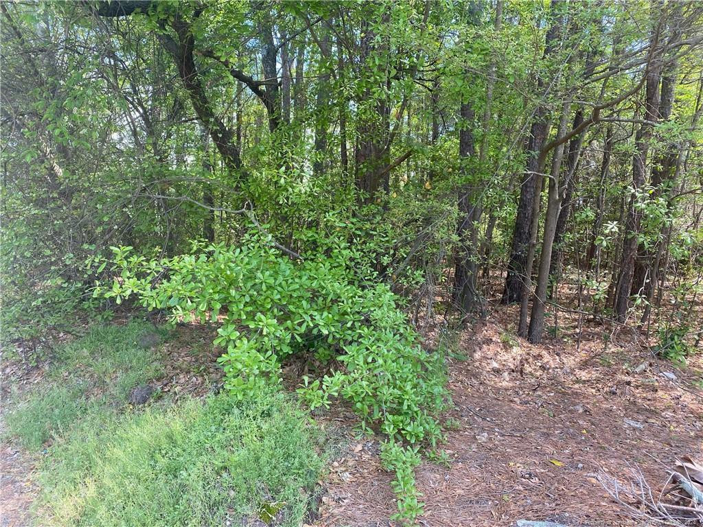 1450 Pamalee Drive Property Photo 4