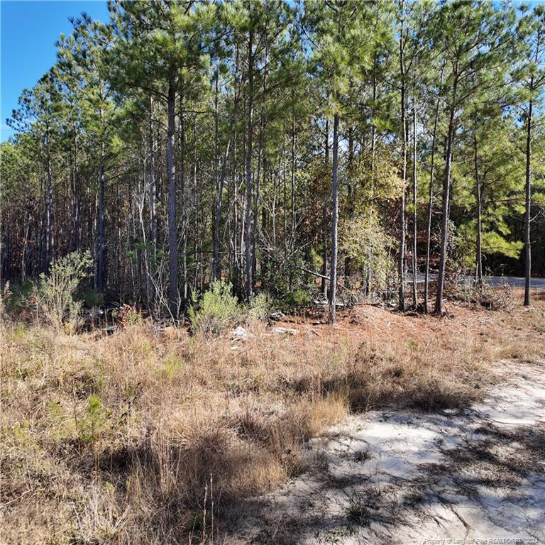 2801 Mcbryde Street Property Photo 4