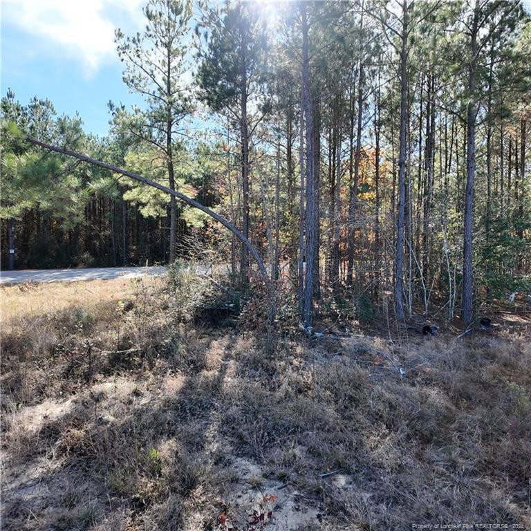 2801 Mcbryde Street Property Photo 5