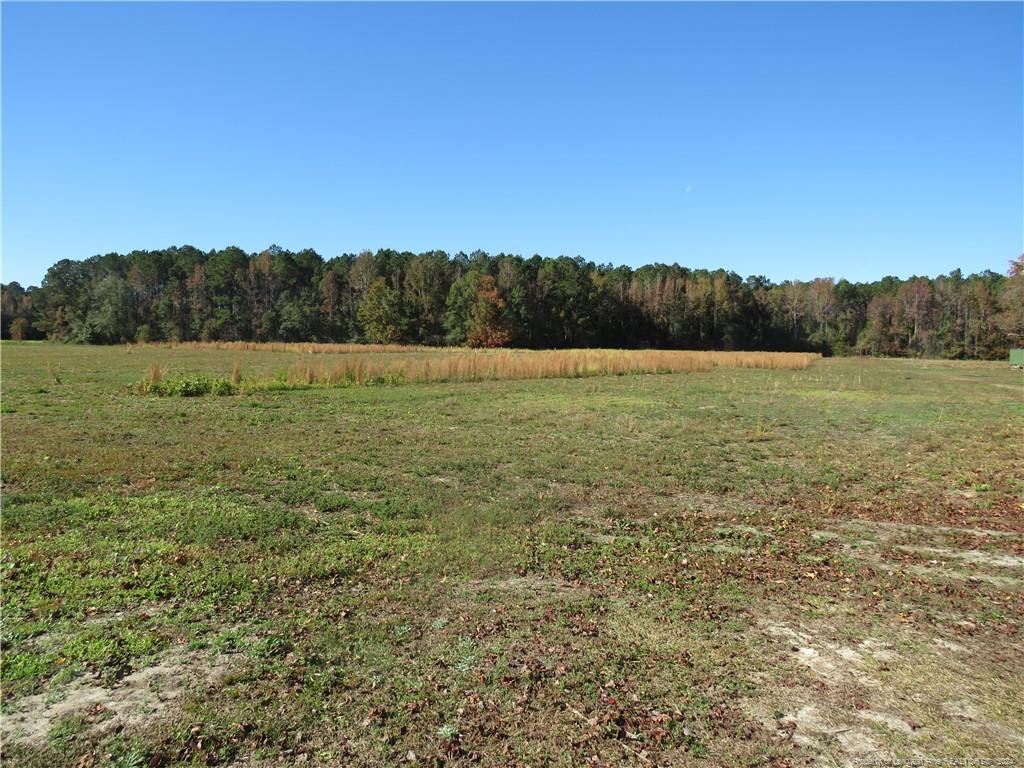 Nc Hwy 41 (lot 1) Property Photo 2