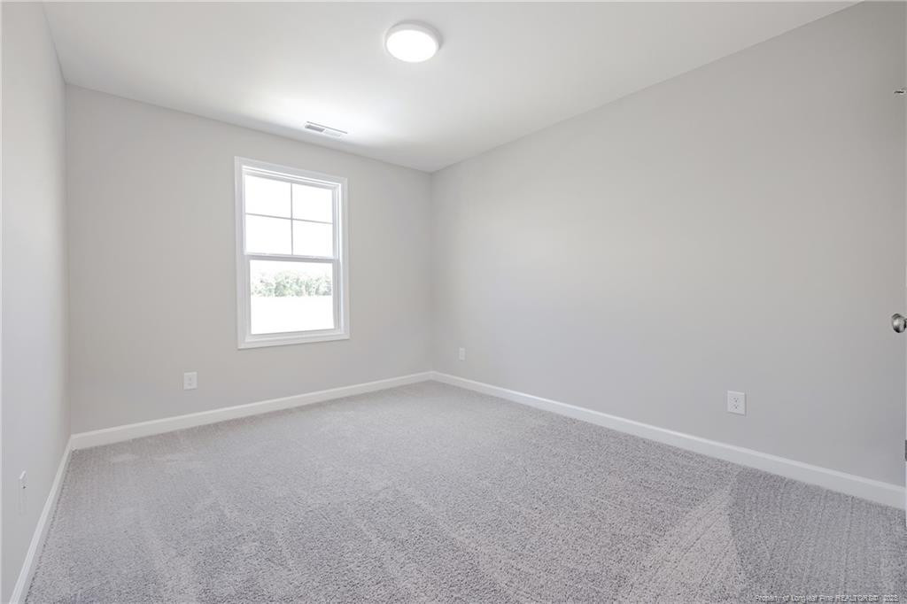 162 Meadow Sage ( Lot 111) Street Property Photo 21