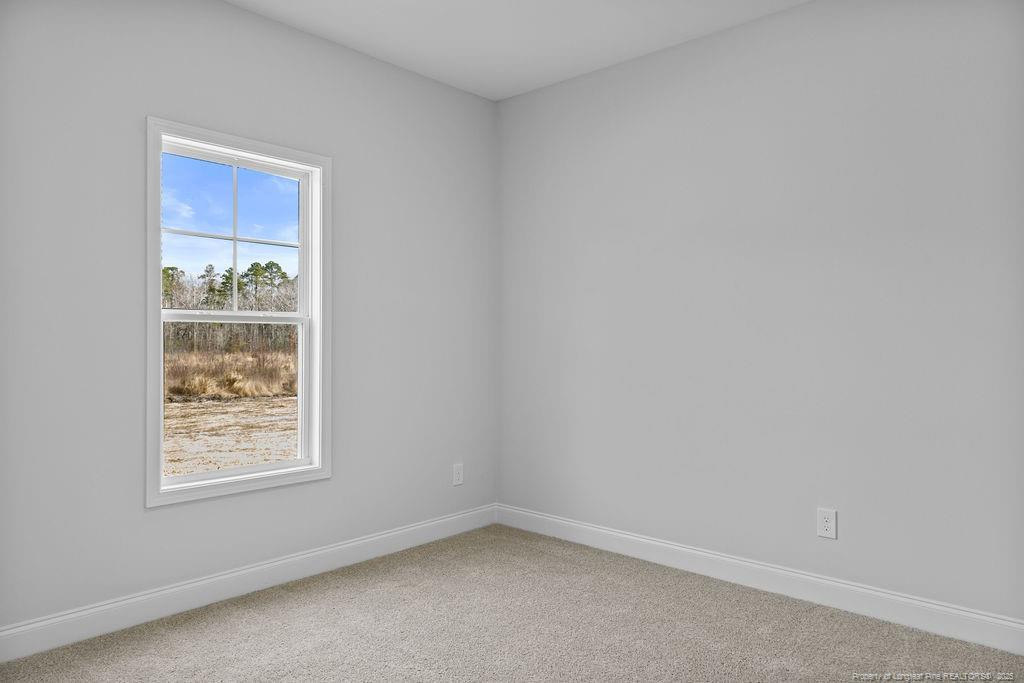 161 Vega (lot 1) Lane Property Photo 17