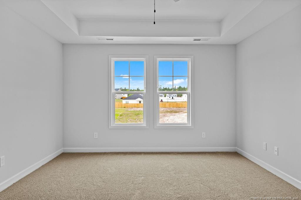 245 Godwin Gate (lot 9) Street Property Photo 15