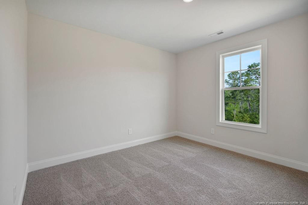 230 Brickhill (lot 378) Drive Property Photo 26
