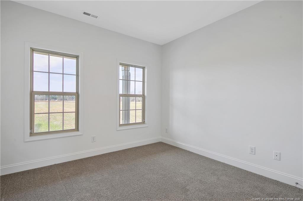 1290 Joe Hall Road Property Photo 38