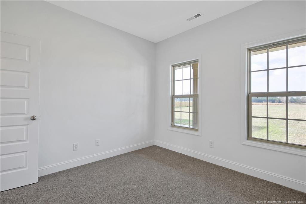 1290 Joe Hall Road Property Photo 41