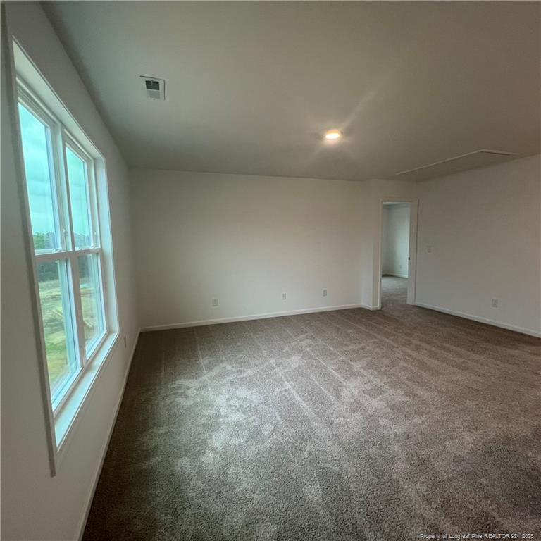 5438 Seedling Property Photo 19