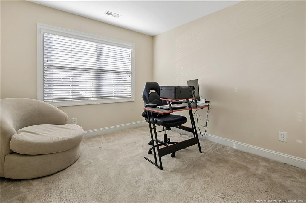1033 Bombay Drive Property Photo 37