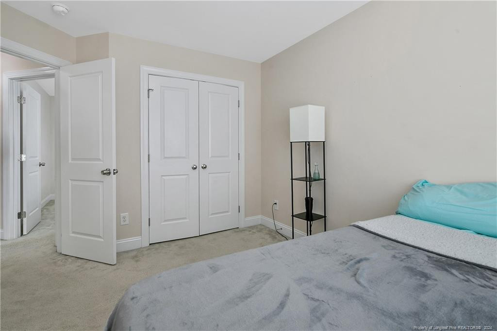 1033 Bombay Drive Property Photo 43