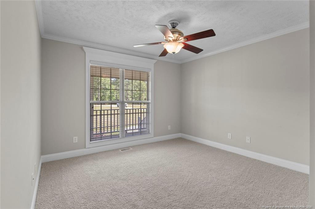 4419 Cameron Road Property Photo 22