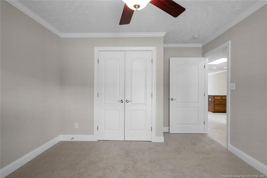 4419 Cameron Road Property Photo 23