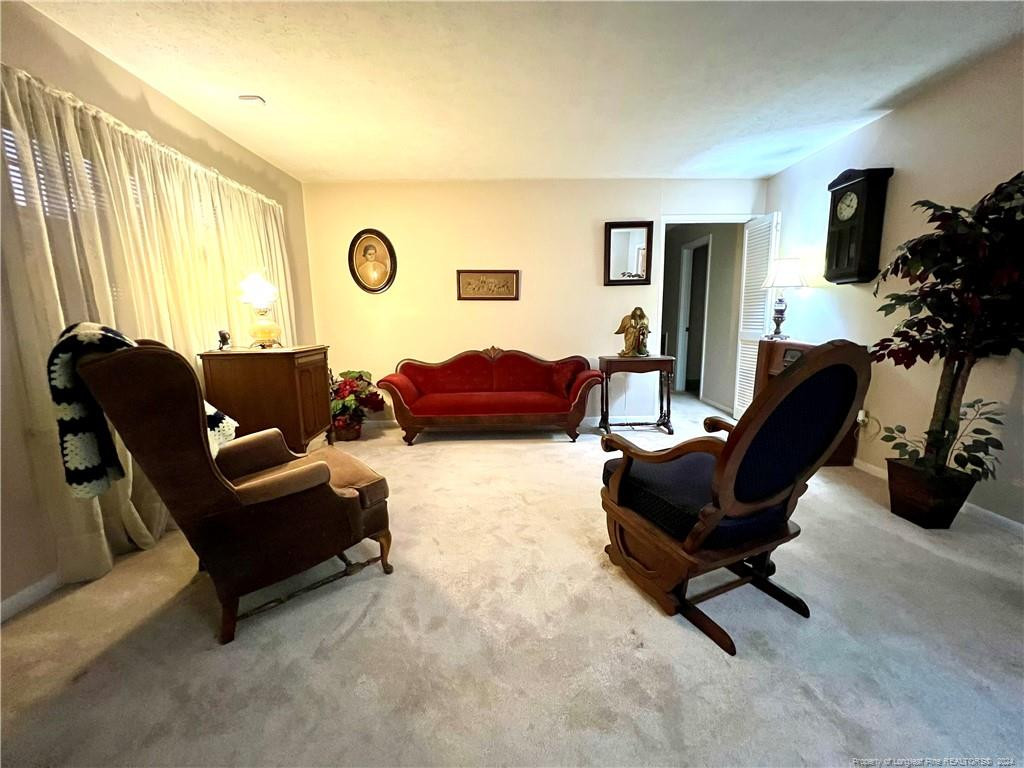 225 Vineland Drive Property Photo 5