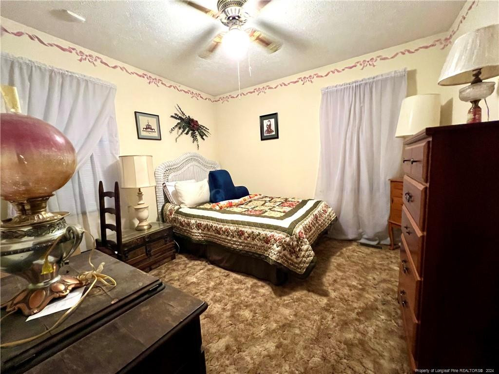 225 Vineland Drive Property Photo 6