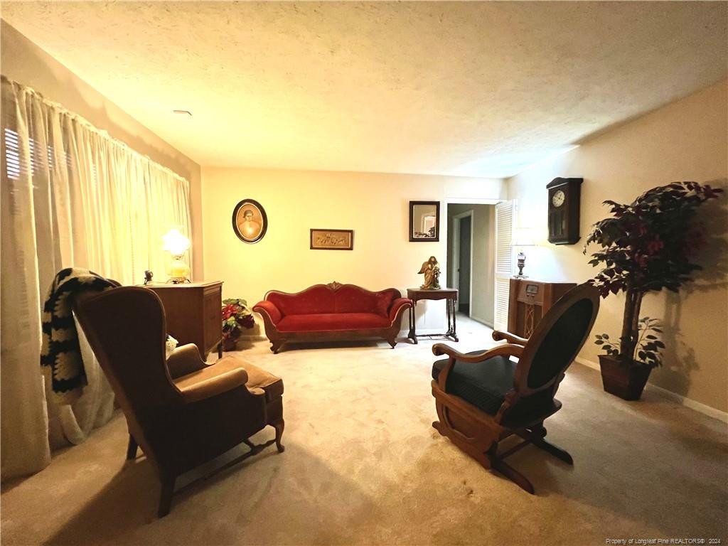 225 Vineland Drive Property Photo 8