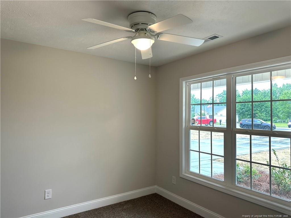 165 Paulownia (lot 12) Drive Property Photo 25