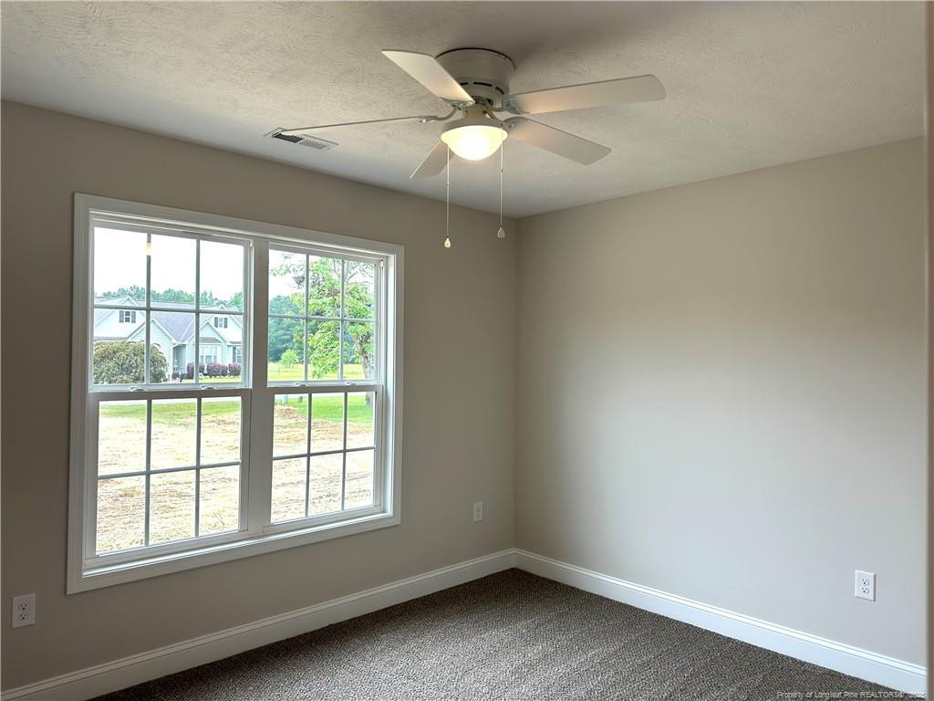 165 Paulownia (lot 12) Drive Property Photo 26