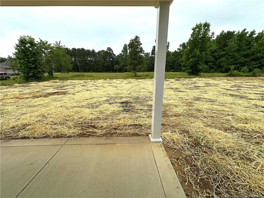 165 Paulownia (lot 12) Drive Property Photo 33