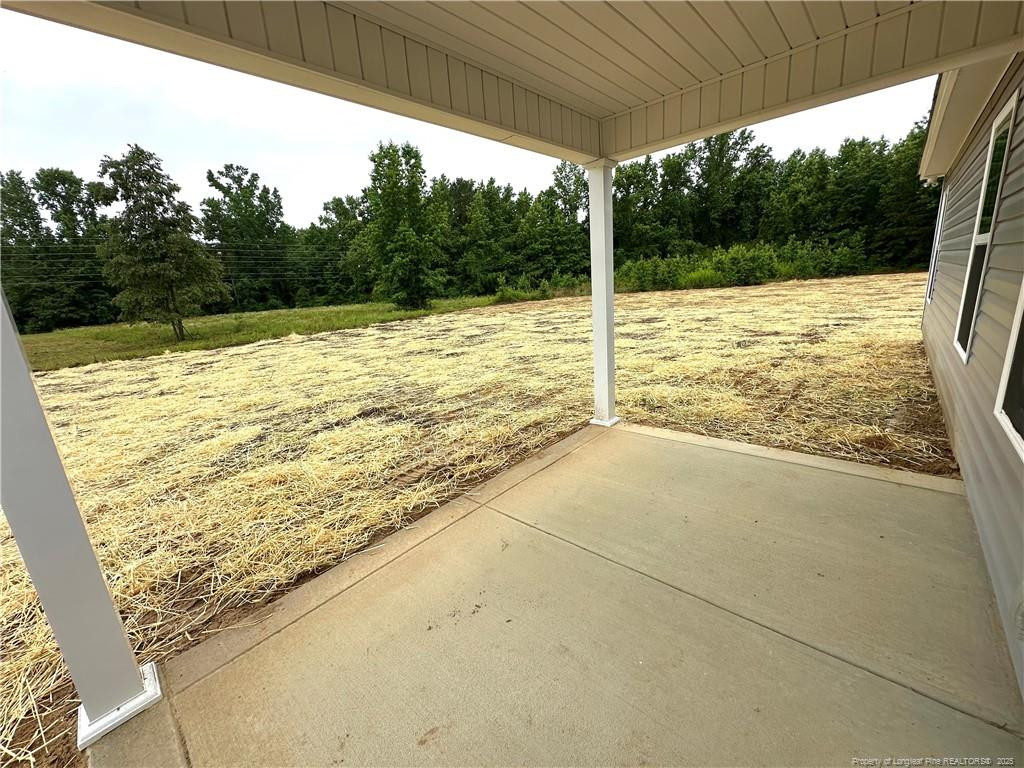 165 Paulownia (lot 12) Drive Property Photo 34