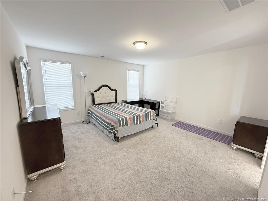 1717 Ramsdale Road Property Photo 21