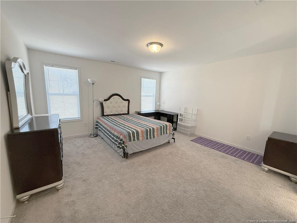 1717 Ramsdale Road Property Photo 22