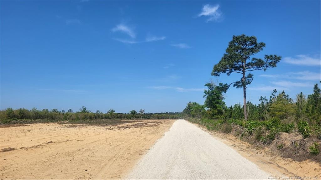 9123 B Cedar Creek Road Property Photo 2