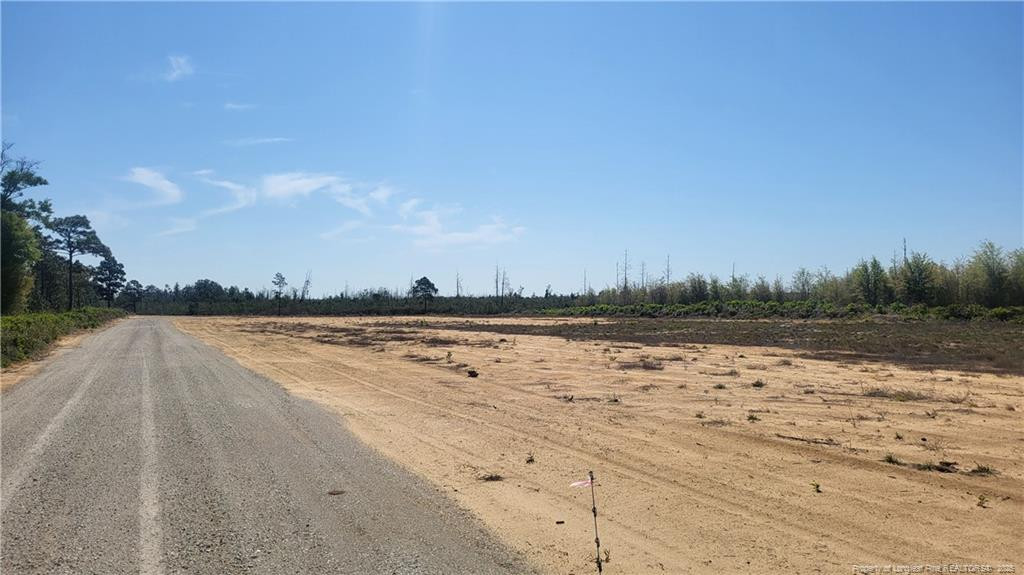 9123 B Cedar Creek Road Property Photo 4