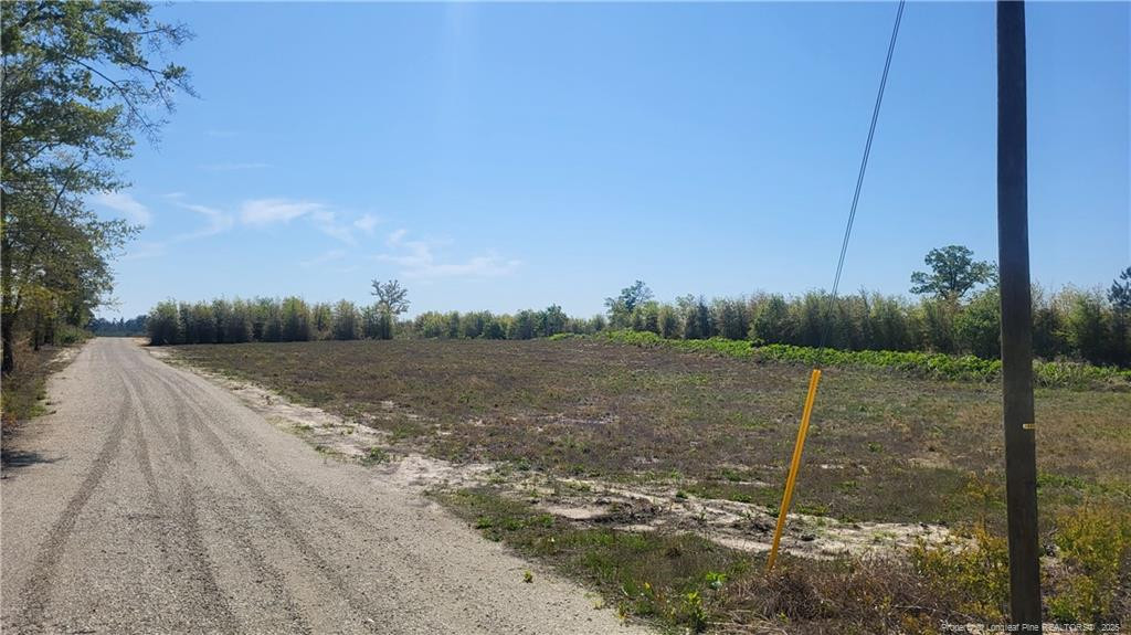 9123 C Cedar Creek Road Property Photo 1