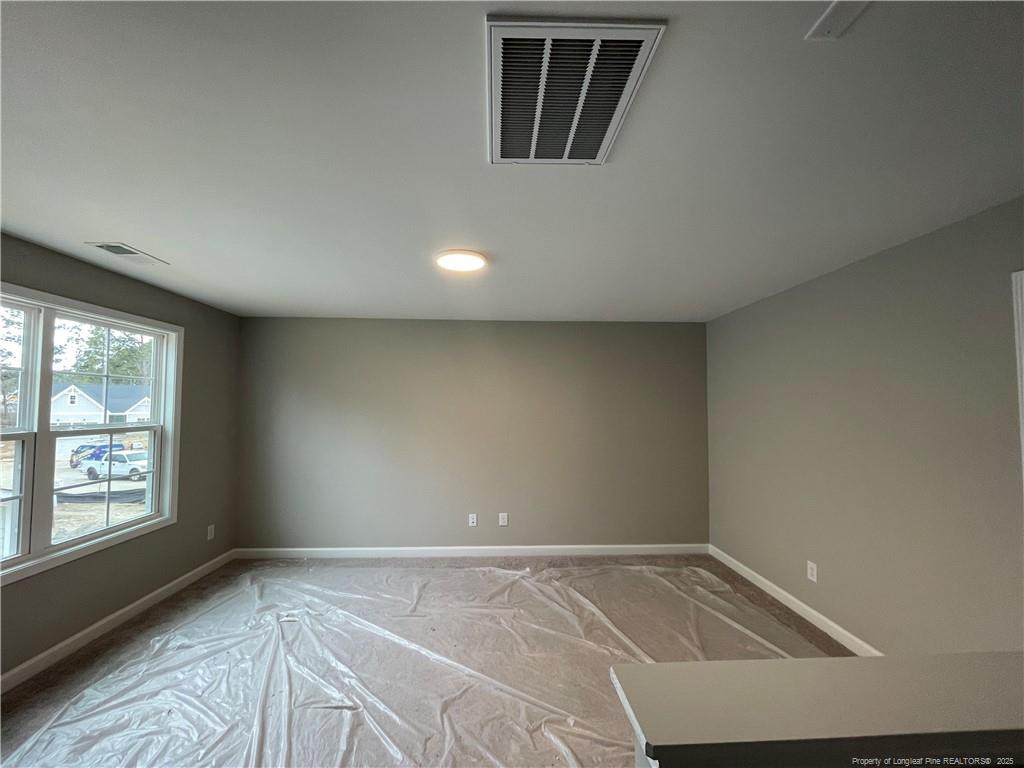 101 Pungo Lane Property Photo 13