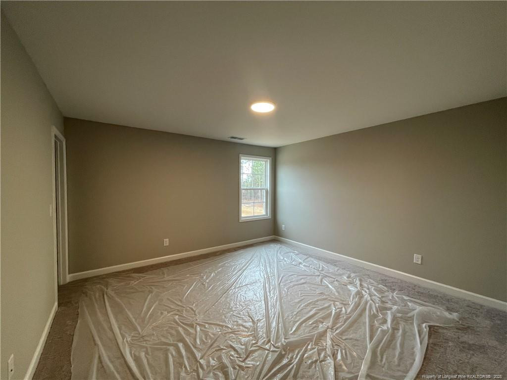 101 Pungo Lane Property Photo 15