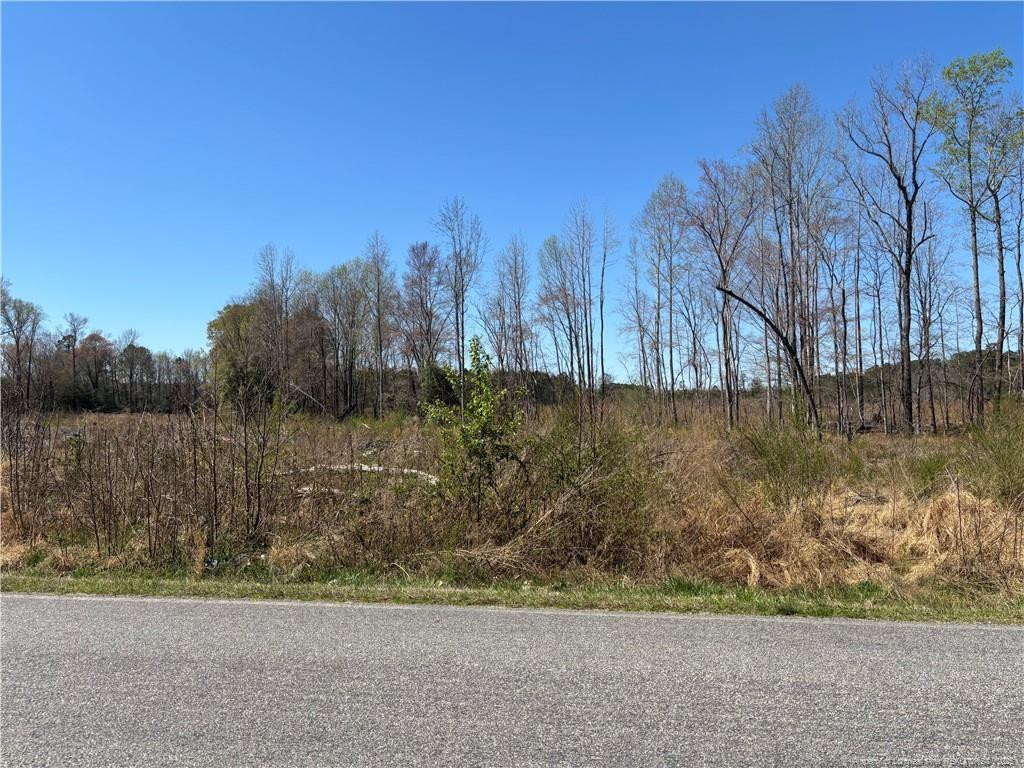 1512 Cox Avenue Property Photo 1