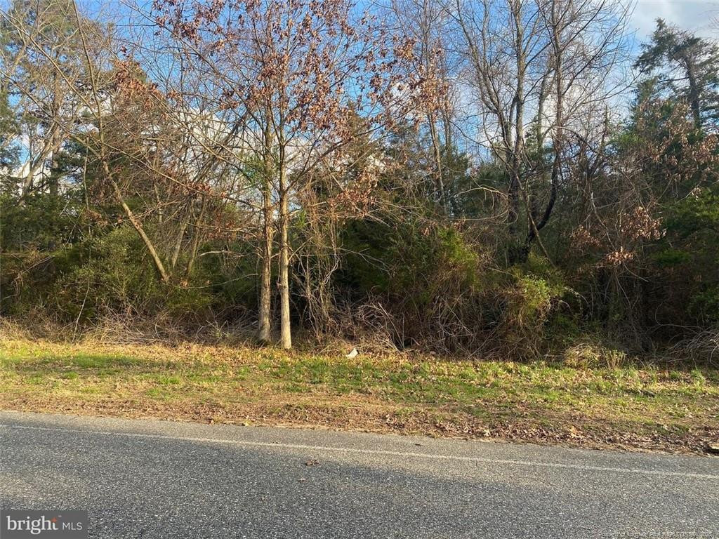 26.5 Acres McIntyre Land Property Photo 1