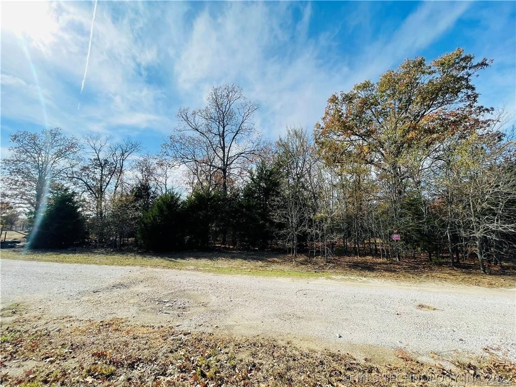 26.5 Acres Mcintyre Land Property Photo 3