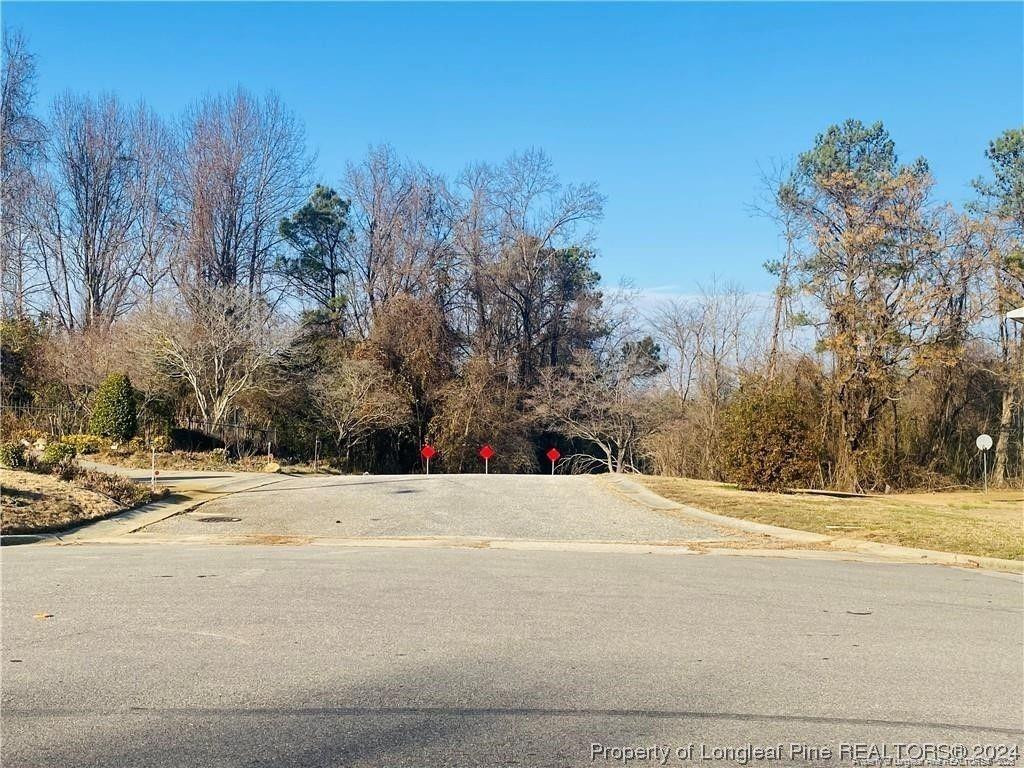 26.5 Acres Mcintyre Land Property Photo 4