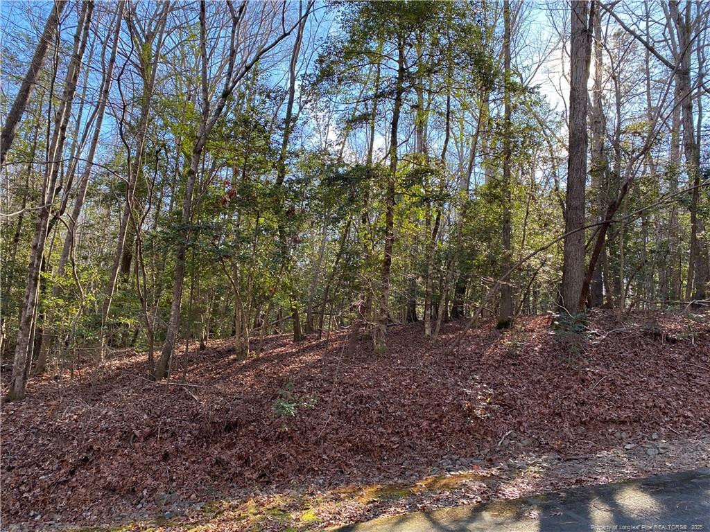 2055 Long Point Trail Property Photo 2