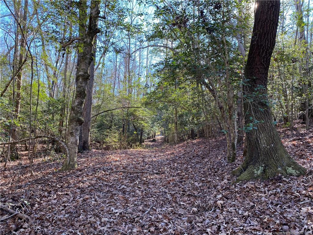 2055 Long Point Trail Property Photo 3